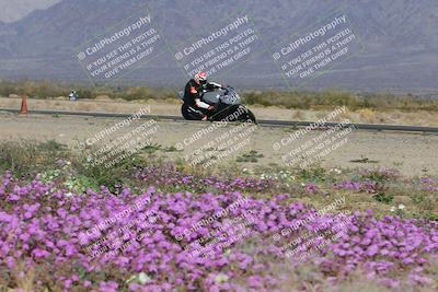 media/Feb-04-2023-SoCal Trackdays (Sat) [[8a776bf2c3]]/Turn 15 Inside Blooming (1050am)/